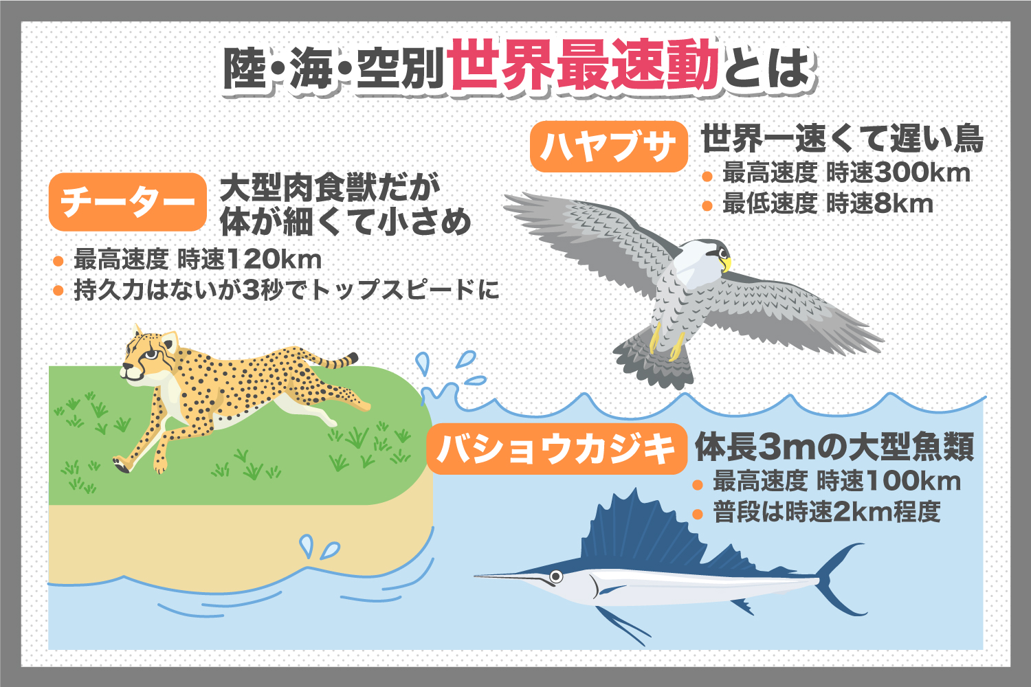 ランキングトップの生きものは！？陸海空に分けて世界最速動物をご紹介
