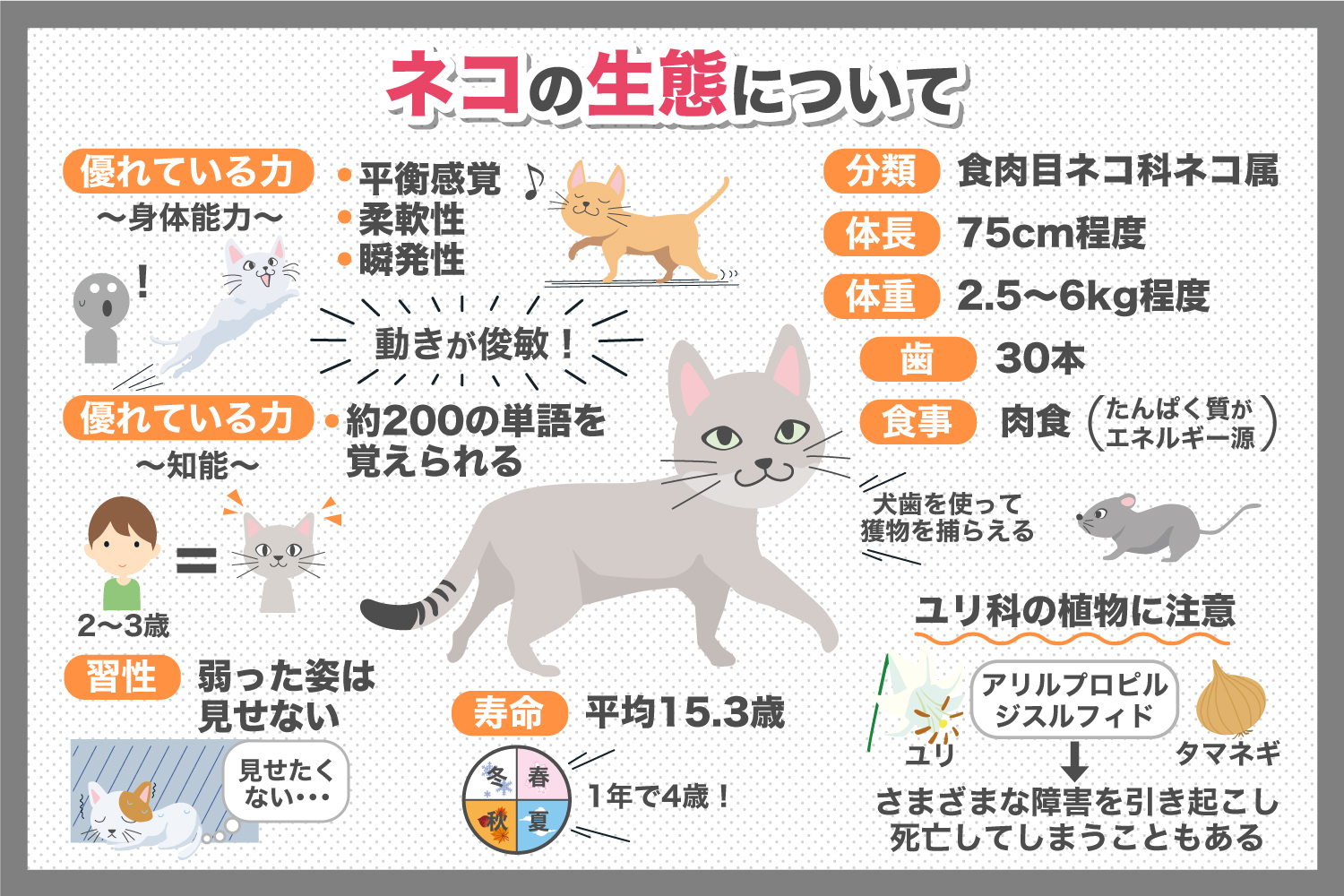 意外と知らなかった！ネコの知られざる雑学についてご紹介！