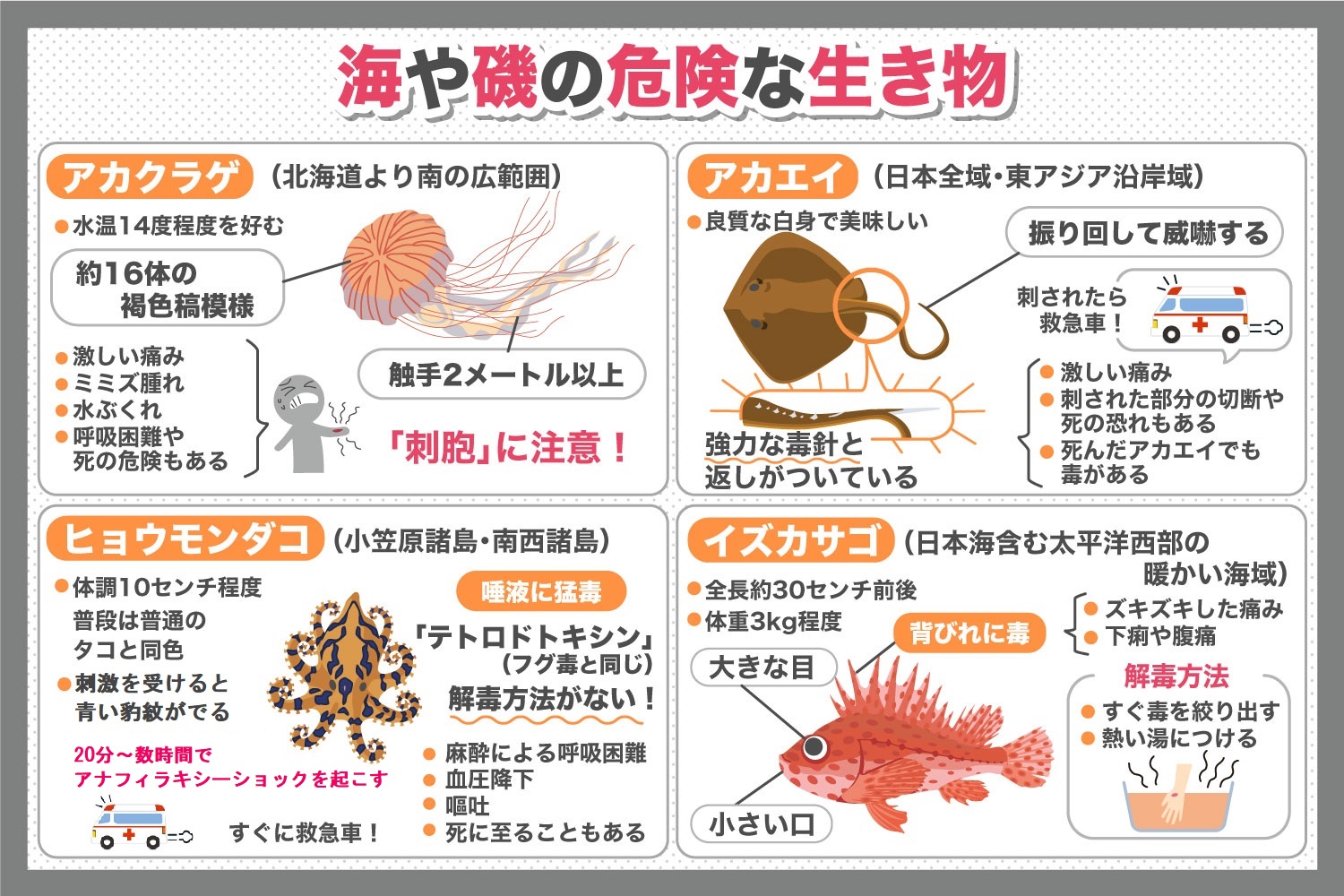 あの生き物にも毒があった