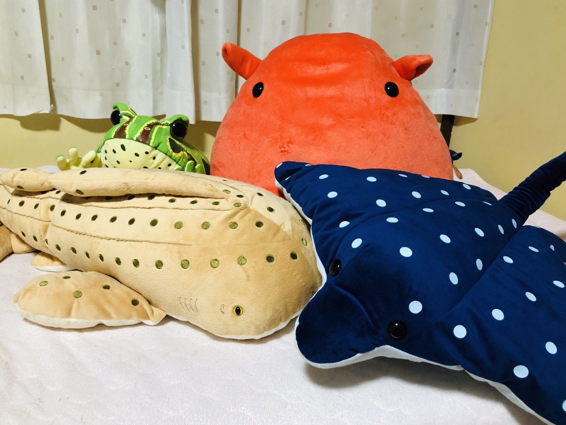 タカハシさんのお家にいるぬいぐるみたち