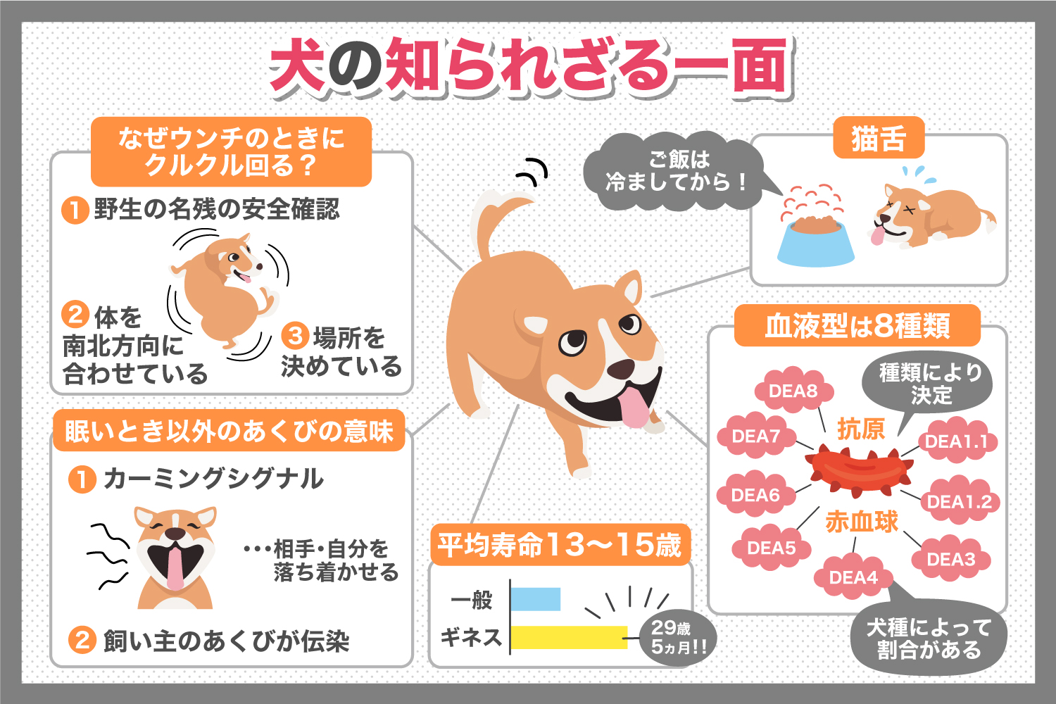 犬 の 豆 知識