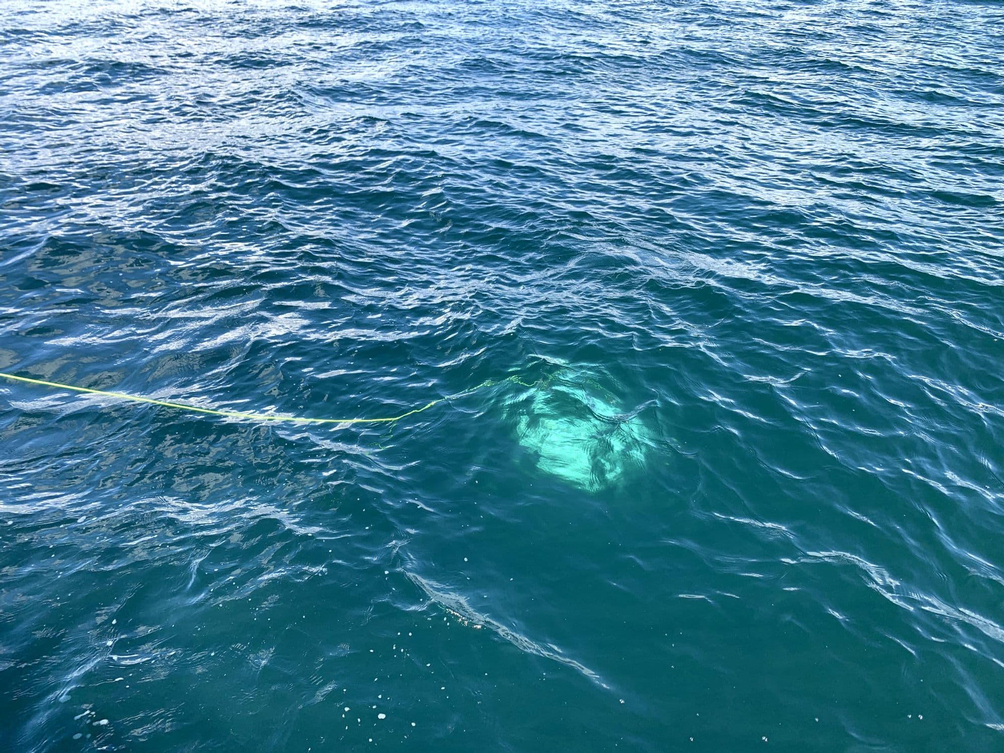 海に潜っていく水中ドローン