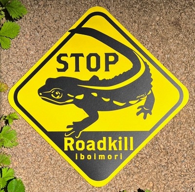 StopRoadkillマグネットイボイモリ